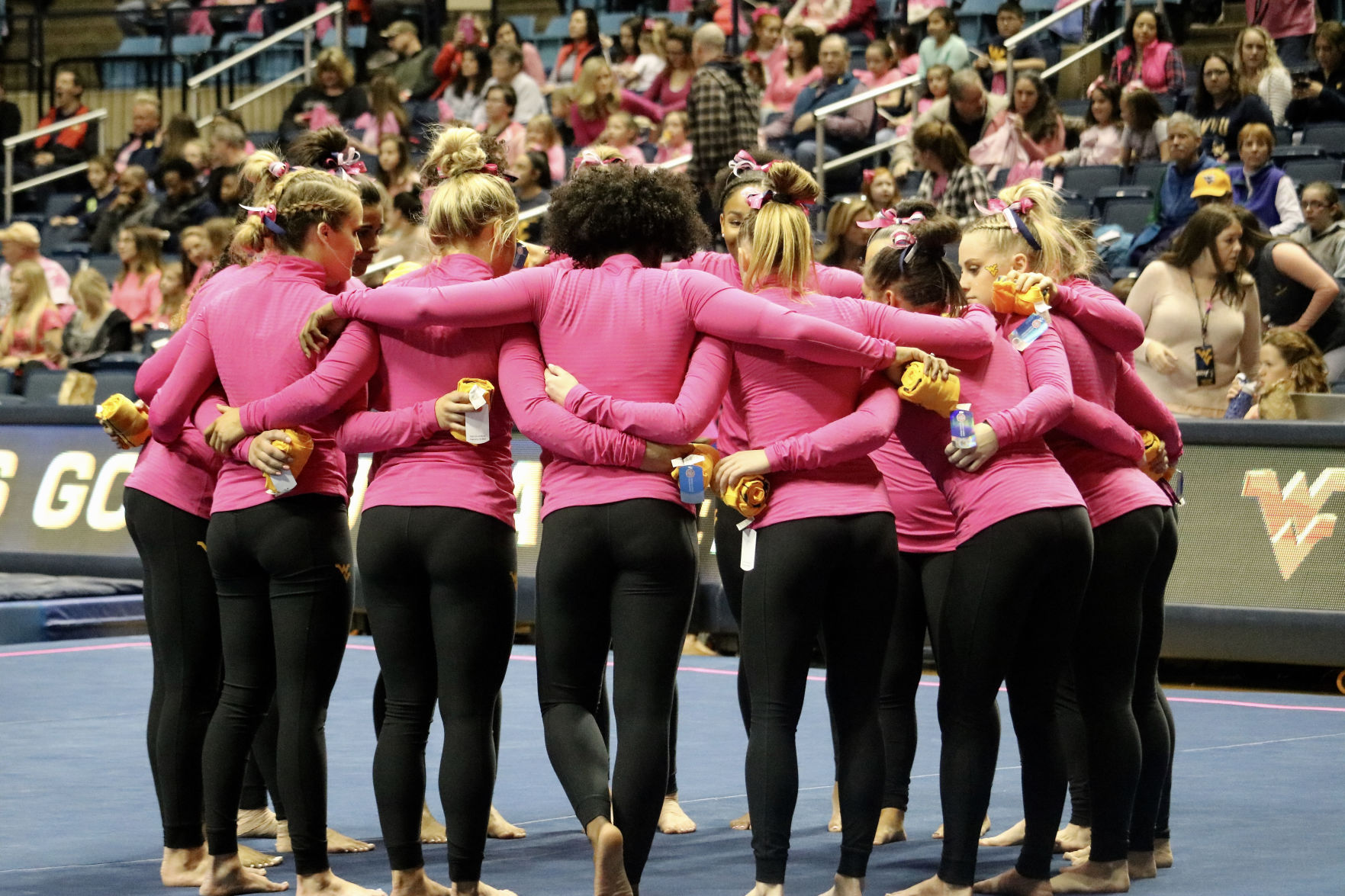 wvu gymnastics huddle